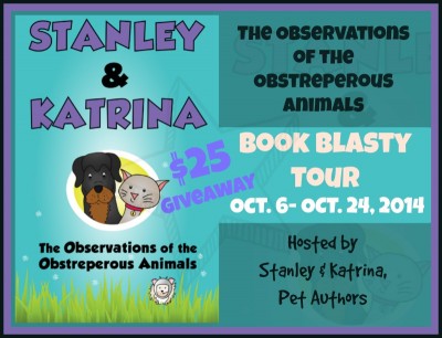 Book Review and Blog Tour | The Observations of the Obstreperous Animals Book Review and Blog Tour | The Observations of the Obstreperous Animals