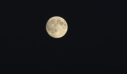 2017 Book of the Year – Vote here! full moon