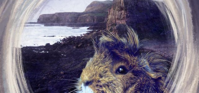 Collected Adventures – what to call it? Dylans Yuletide Journey