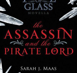 Down the TBR Hole, Part the Fifth – in which I reject four! Assassin and pirate lord