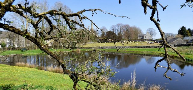 Tuesday #writephoto | Still waters Still writephoto