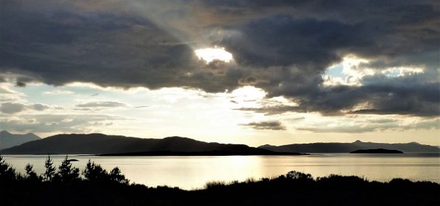 #writephoto for March | Lambent – a clifi story #writephoto for March | Lambent – a clifi story
