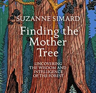 Book Review | Finding the Mother Tree by Suzanne Simard #30DaysWild finding the mother tree
