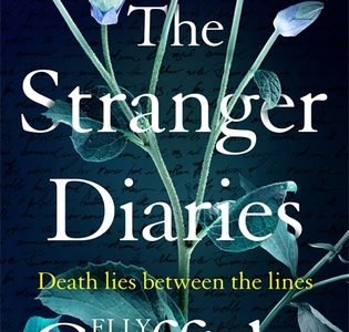 the stranger diaries